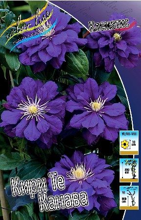 136,6.    (   2 .,   1.).jpg