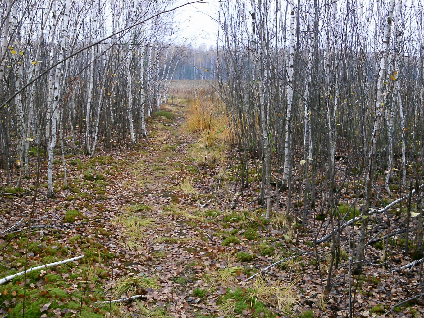 PTDC0517.JPG