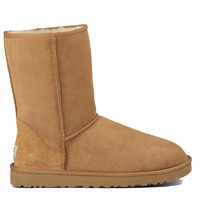  UGG Classic Short -   ( 36-40), 4200