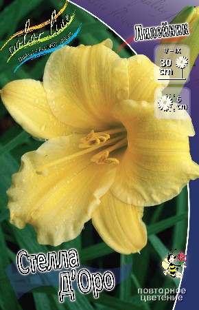 37,1.    (   2 .,   1.).jpg