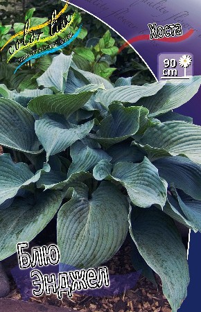 93,1.   (   1 .,   1.).jpg