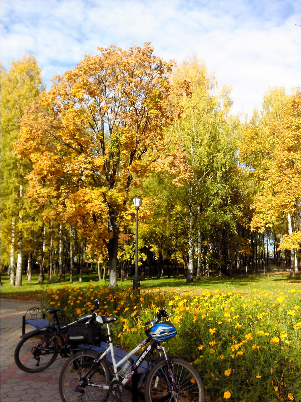 IMG 20161002 142919.jpg