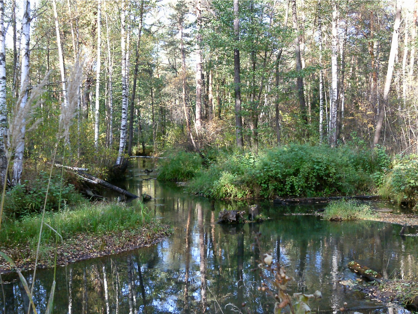 PTDC0460.JPG