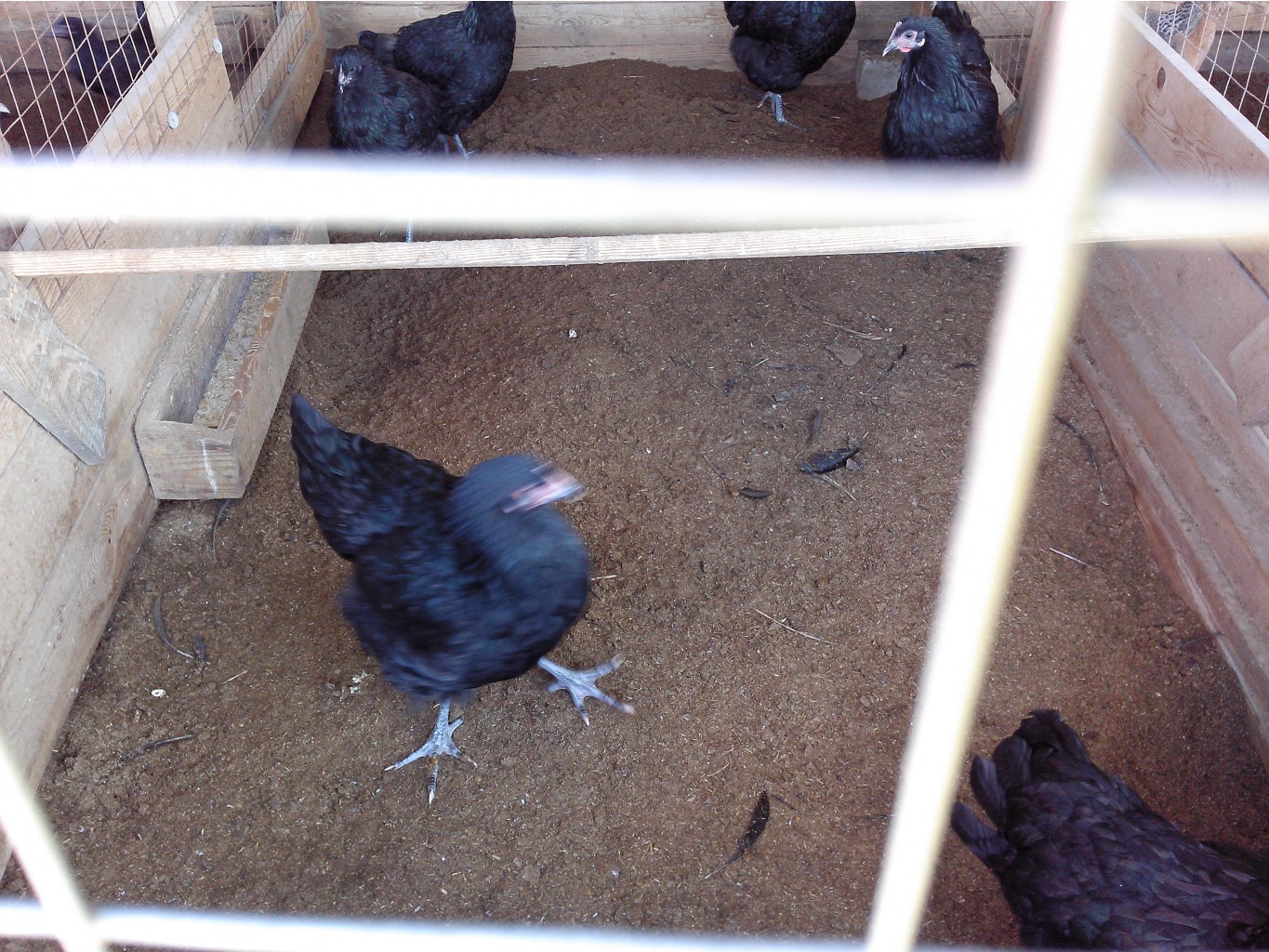 IMG 20161002 121801.jpg