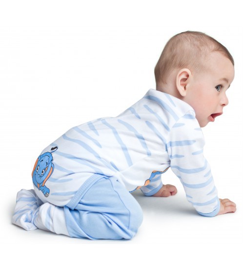 IMG 1872-500x554.jpg