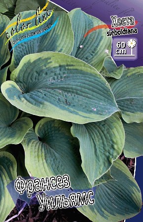 54,45.   (   2 .,   1.).jpg