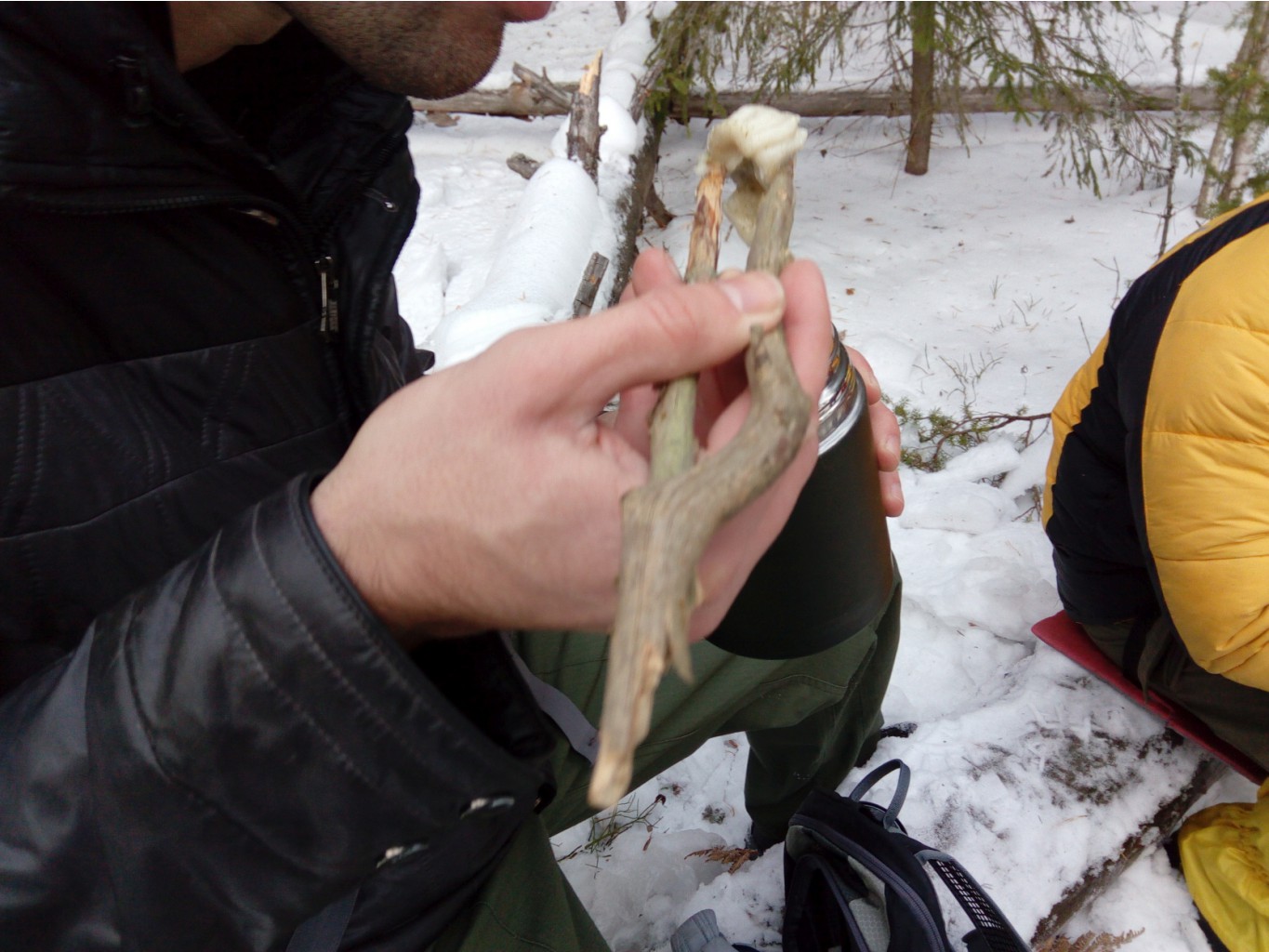 IMG 20161119 132758.jpg