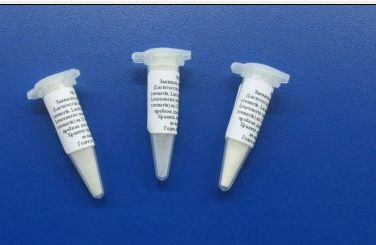 Закваска для сыра Гауда (Lactococcus lactis, Lactococcus cremoris, Lactococcus diacetylactis, Leuconostoc mesenteroides подвид сremoris) на 10 л .jpg