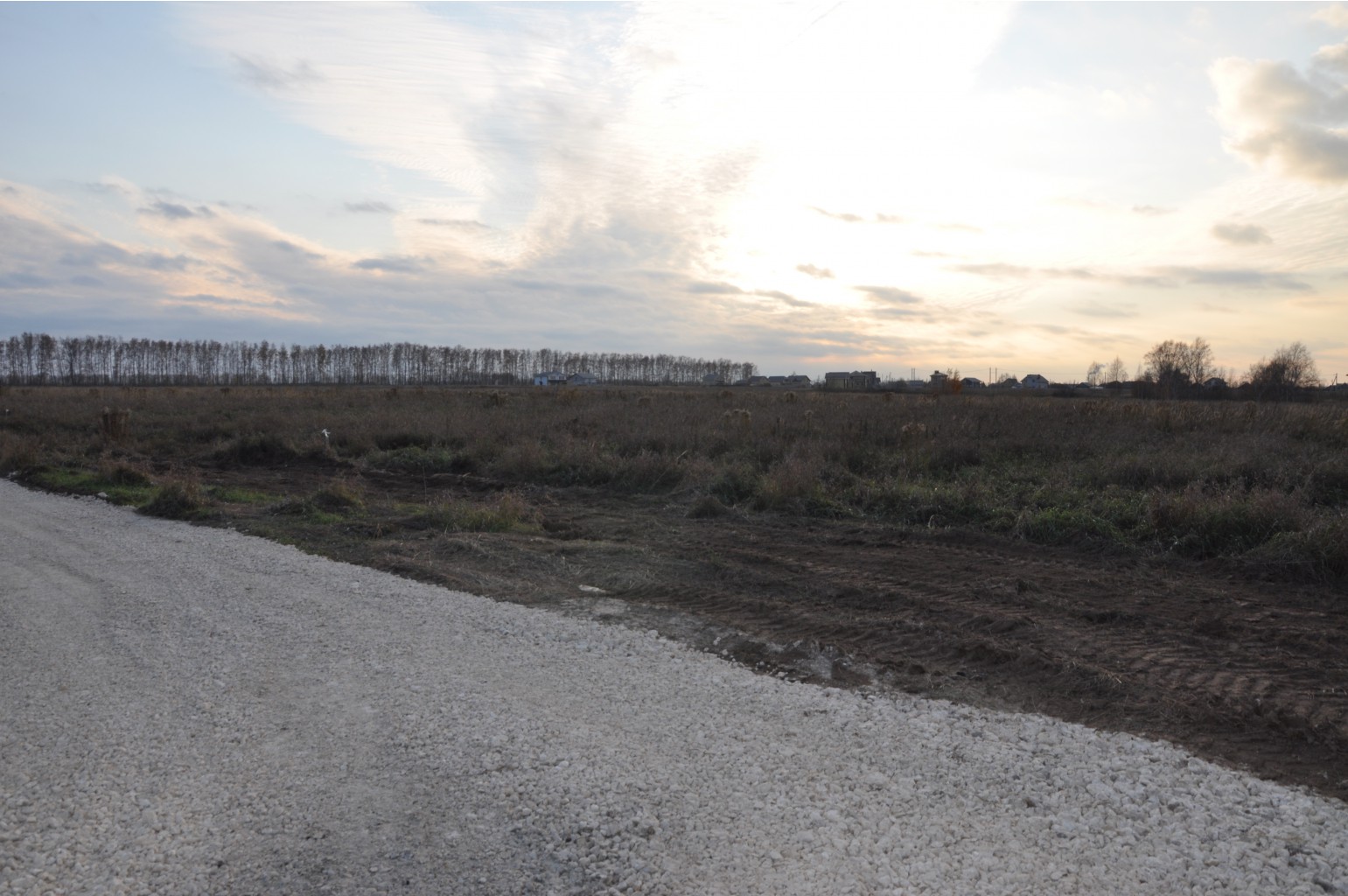 DSC 9865.JPG