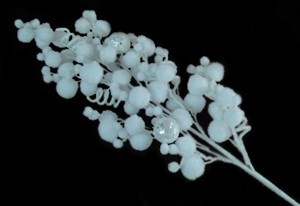 TLN881      №3 100 .  690.jpg