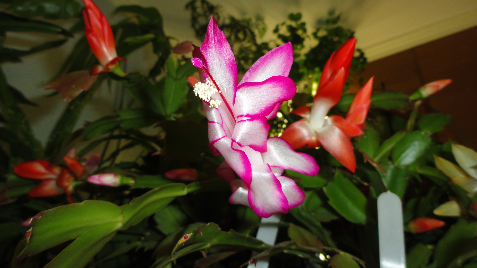 DSC08068.JPG