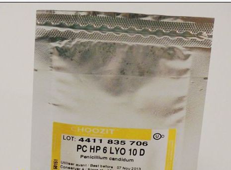Плесень Penicillium Candidum CHOOZIT? PC HP 6 LYO 10 D.jpg