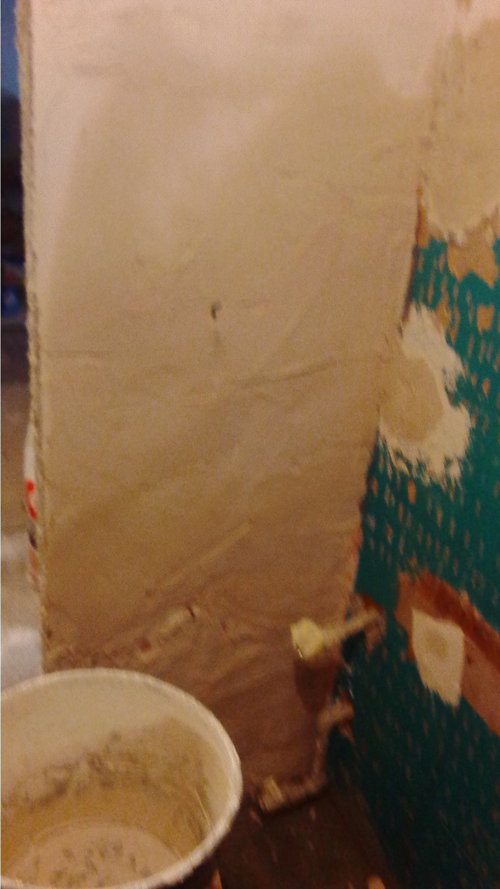 IMG 20161007 154754.jpg