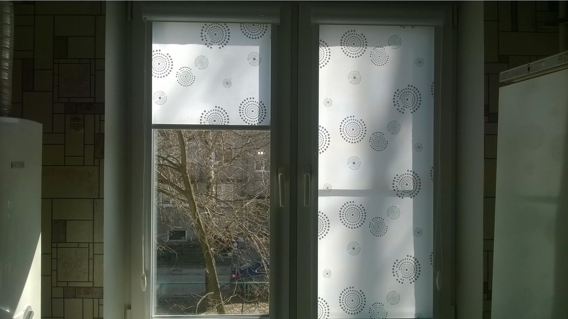 WP 20160406 10 56 34 Pro[1].jpg