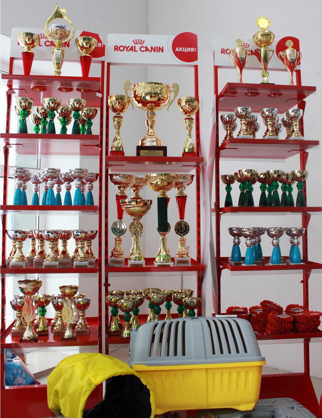 IMG 0521.JPG