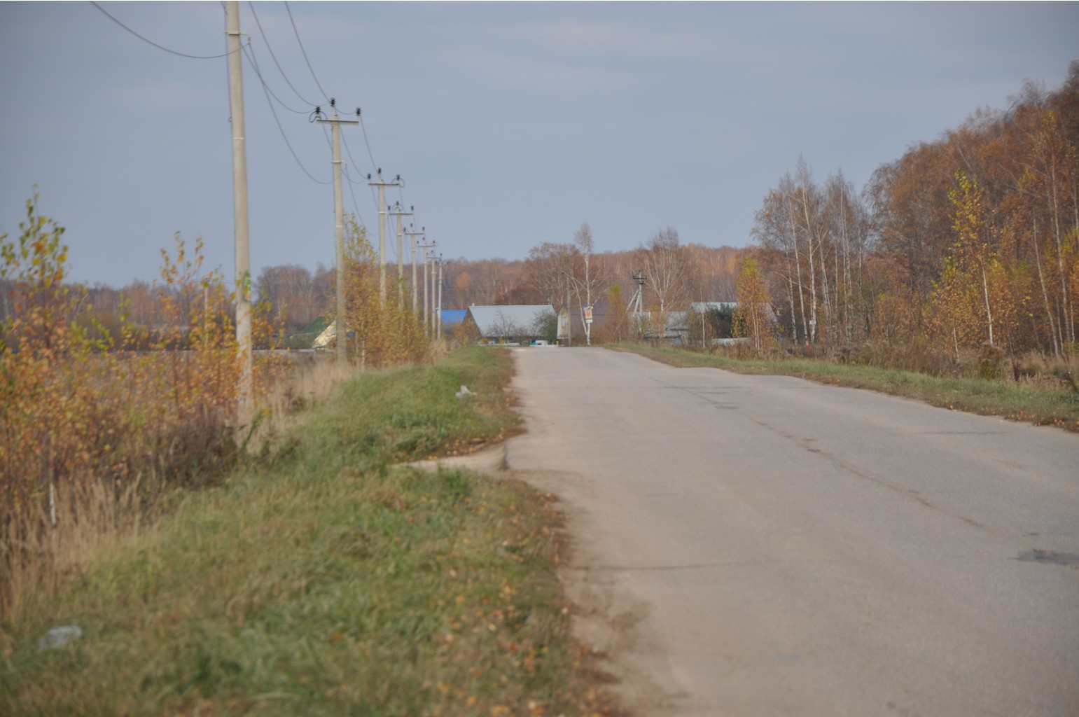 DSC 9843.JPG