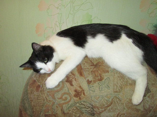 IMG 1252.jpg