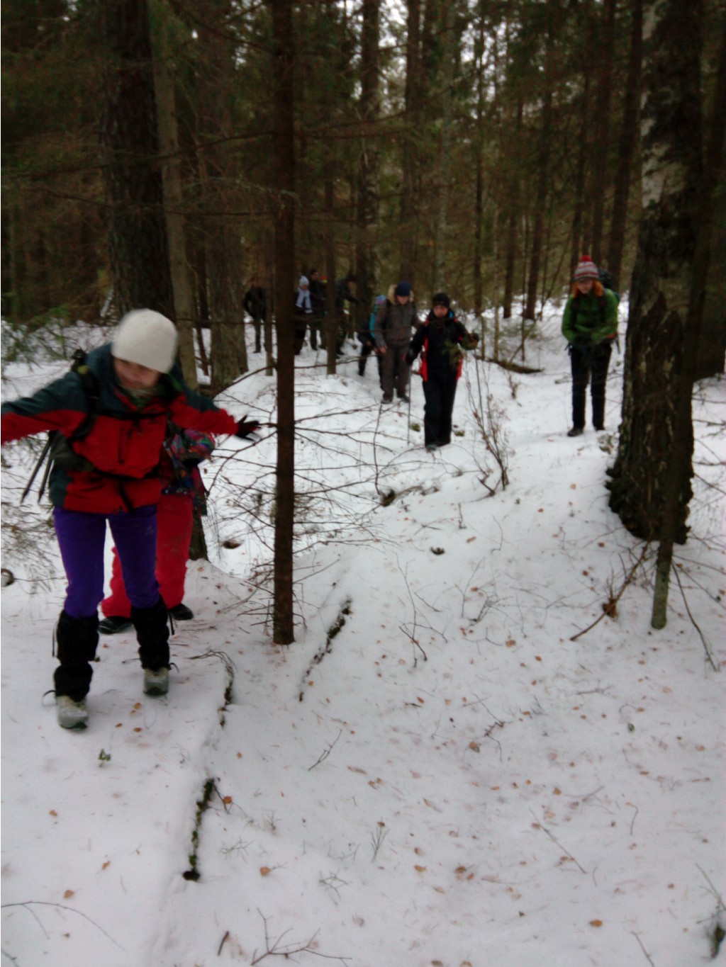 IMG 20161119 144933.jpg