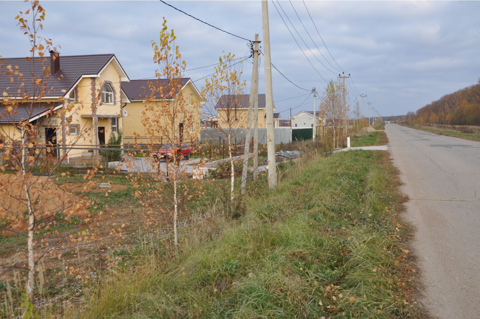 DSC 9836.JPG