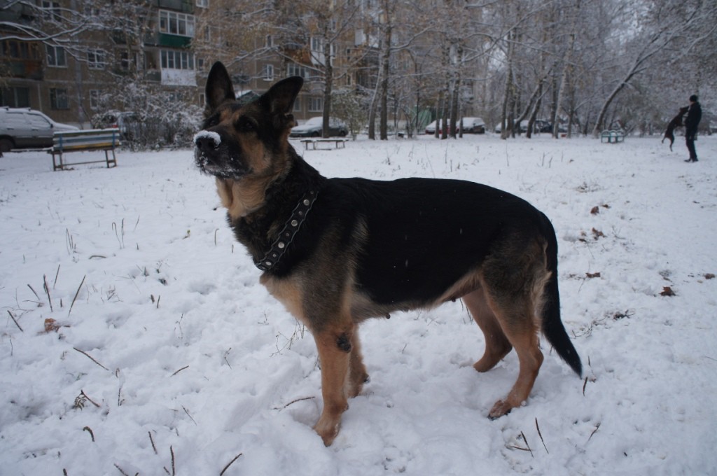 DSC09001.JPG