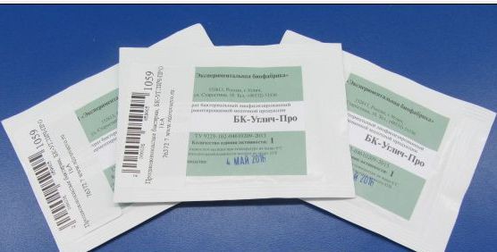 Пропионовокислые бактерии, БК-УГЛИЧ-ПРО 1ЕА.jpg