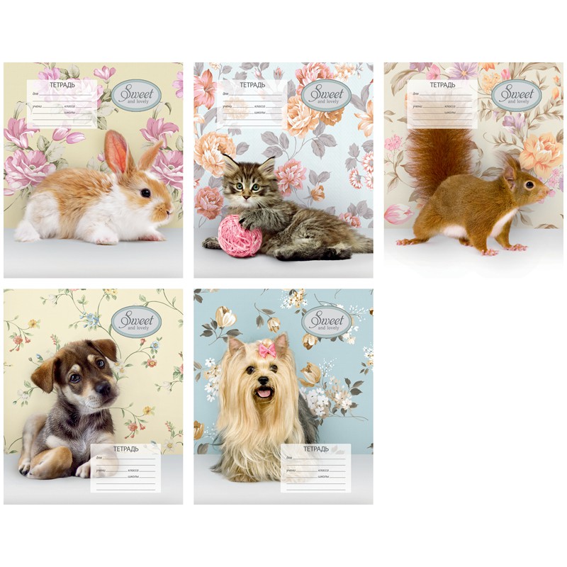  12.  . Sweet pets 6,77.jpg