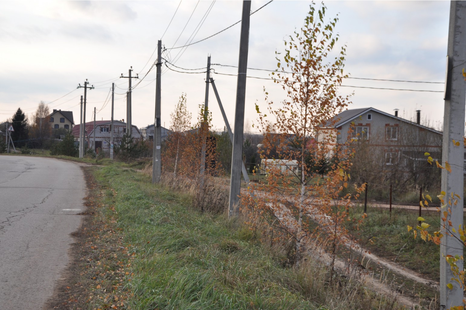 DSC 9832.JPG