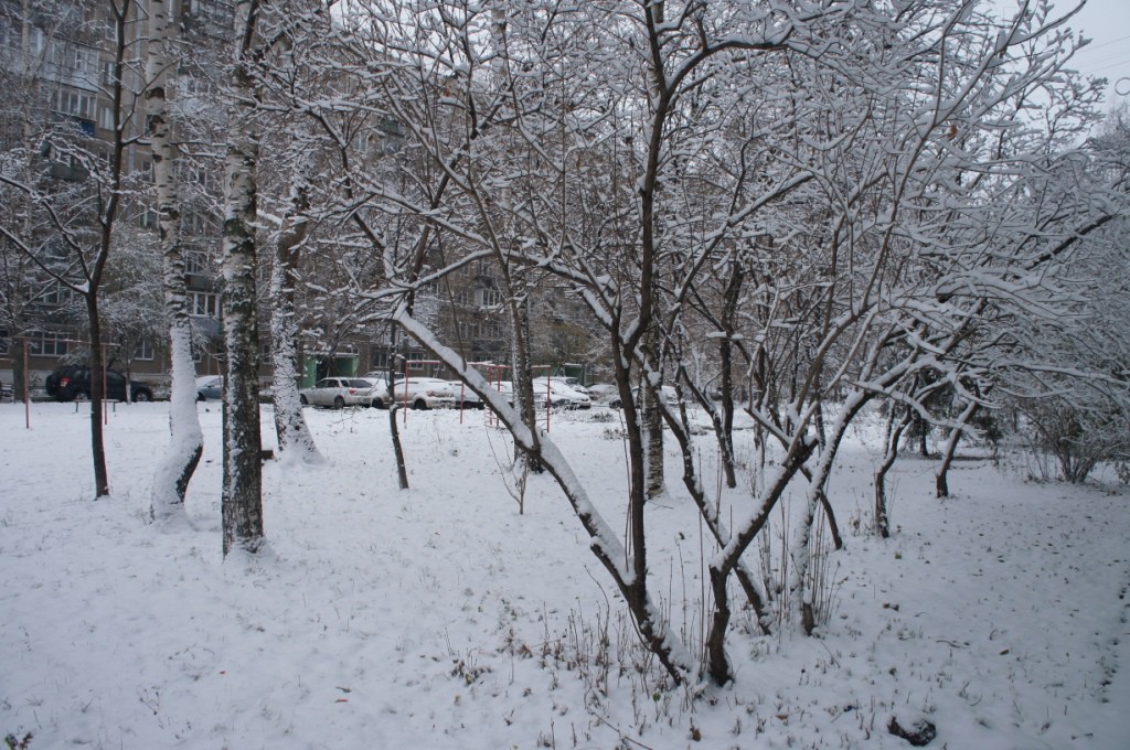 DSC08979.JPG