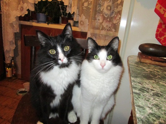 IMG 1265.jpg