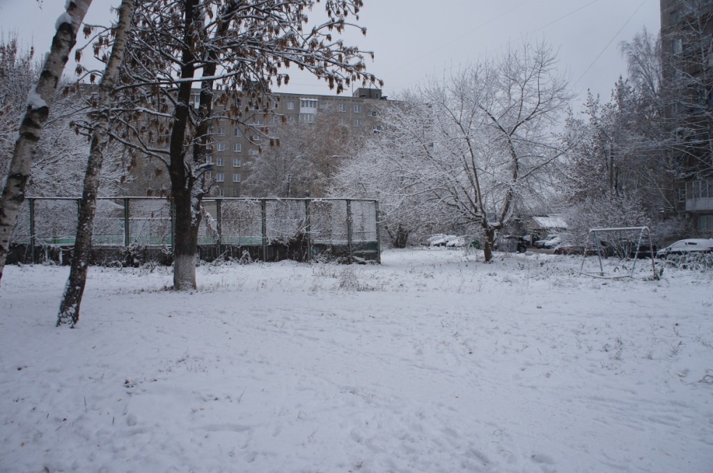 DSC08982.JPG