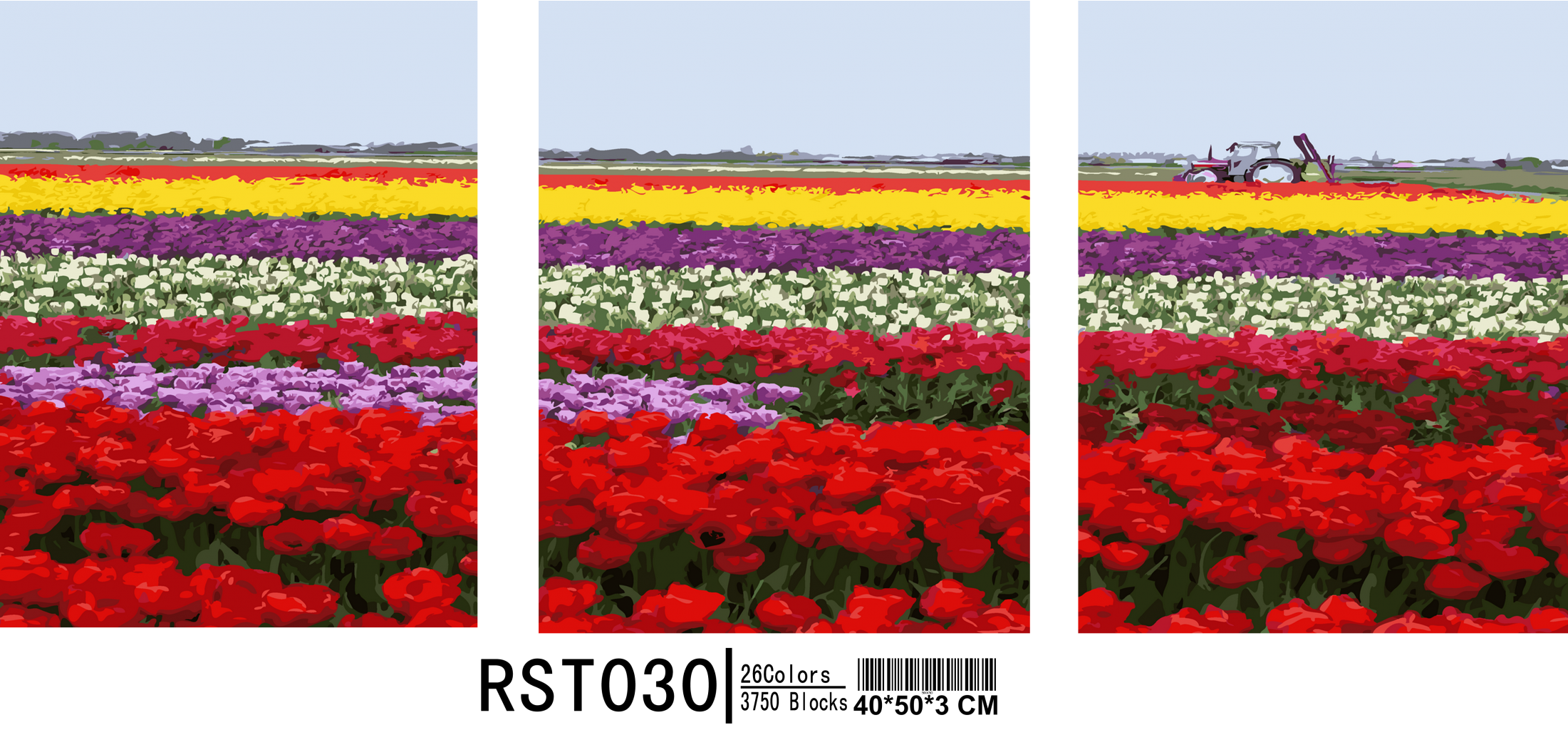 RST030-26-3750--ъ%U00A6й.png