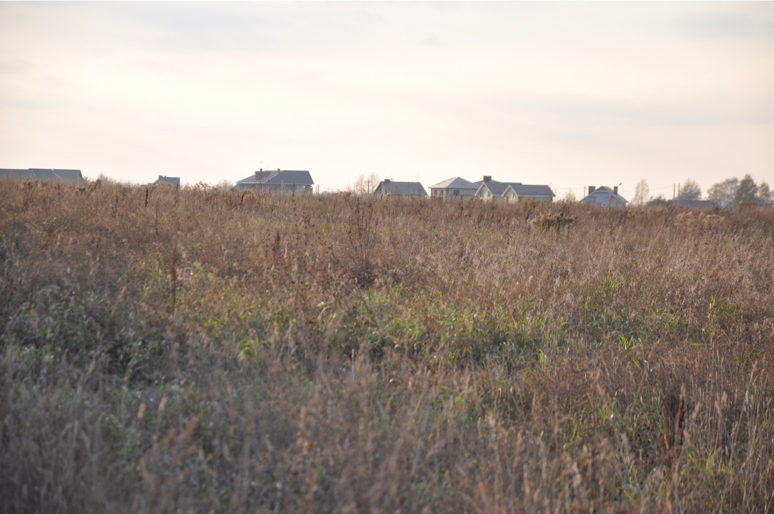 DSC 9864.JPG