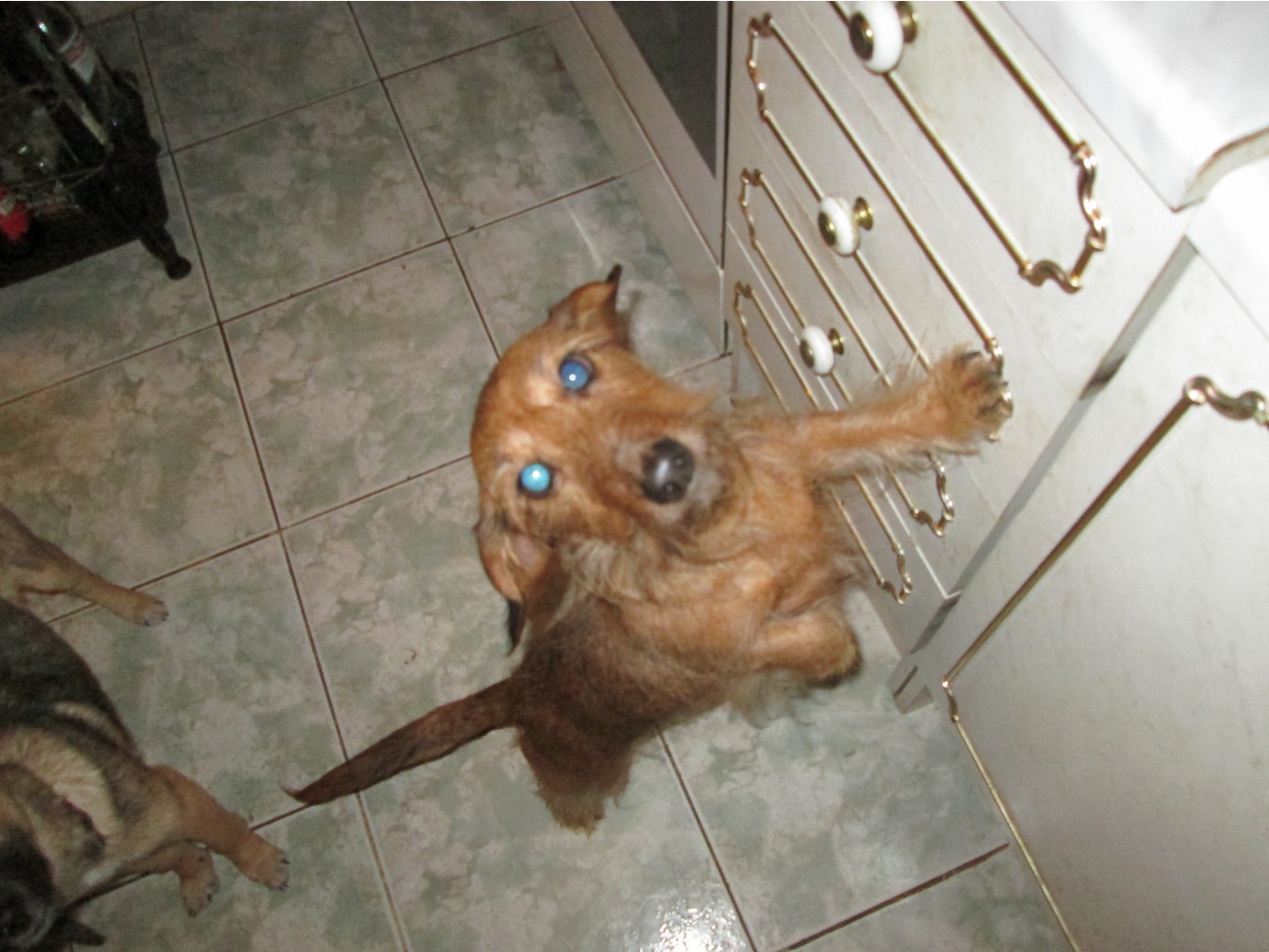 IMG 4678.JPG