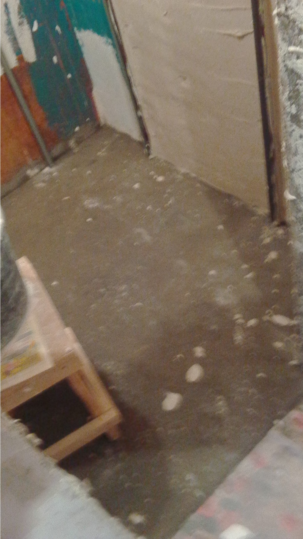 IMG 20161007 154830.jpg