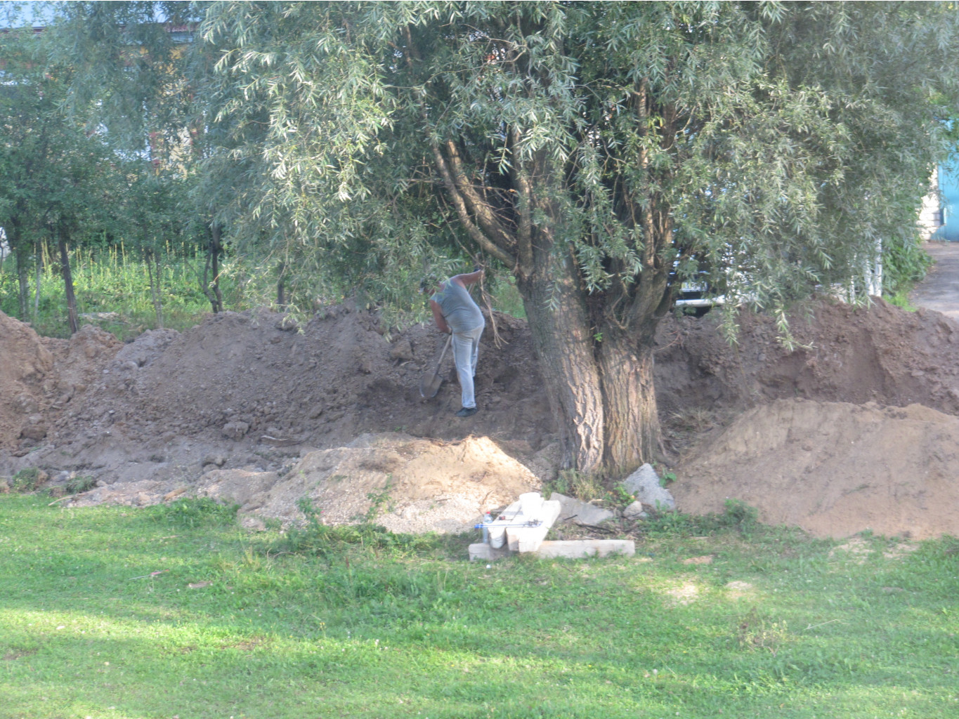 IMG 4346.JPG