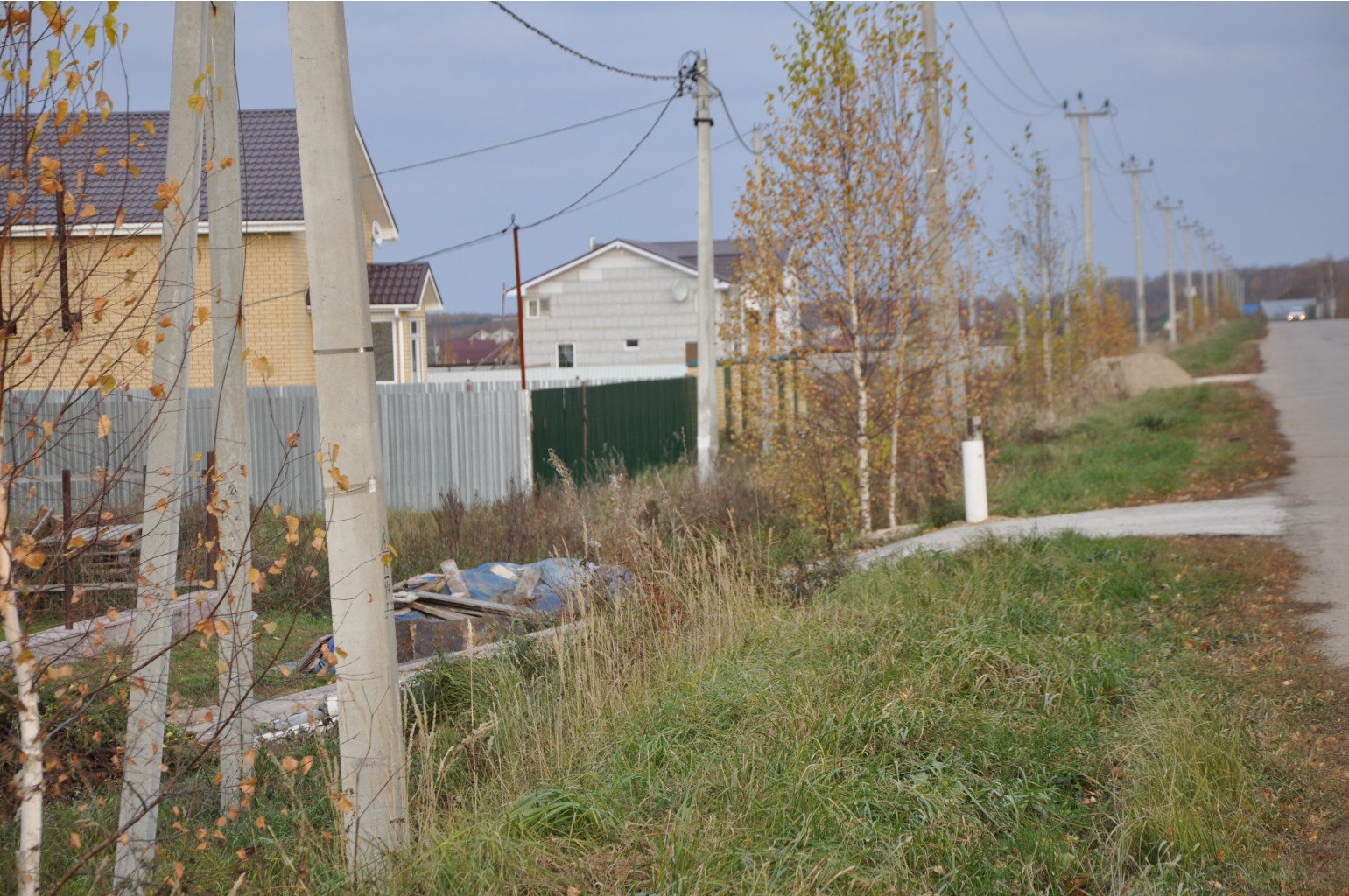 DSC 9837.JPG