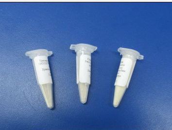 Плесень Penicillium Candidum CHOOZIT?, флакон-пробник на 40л.jpg