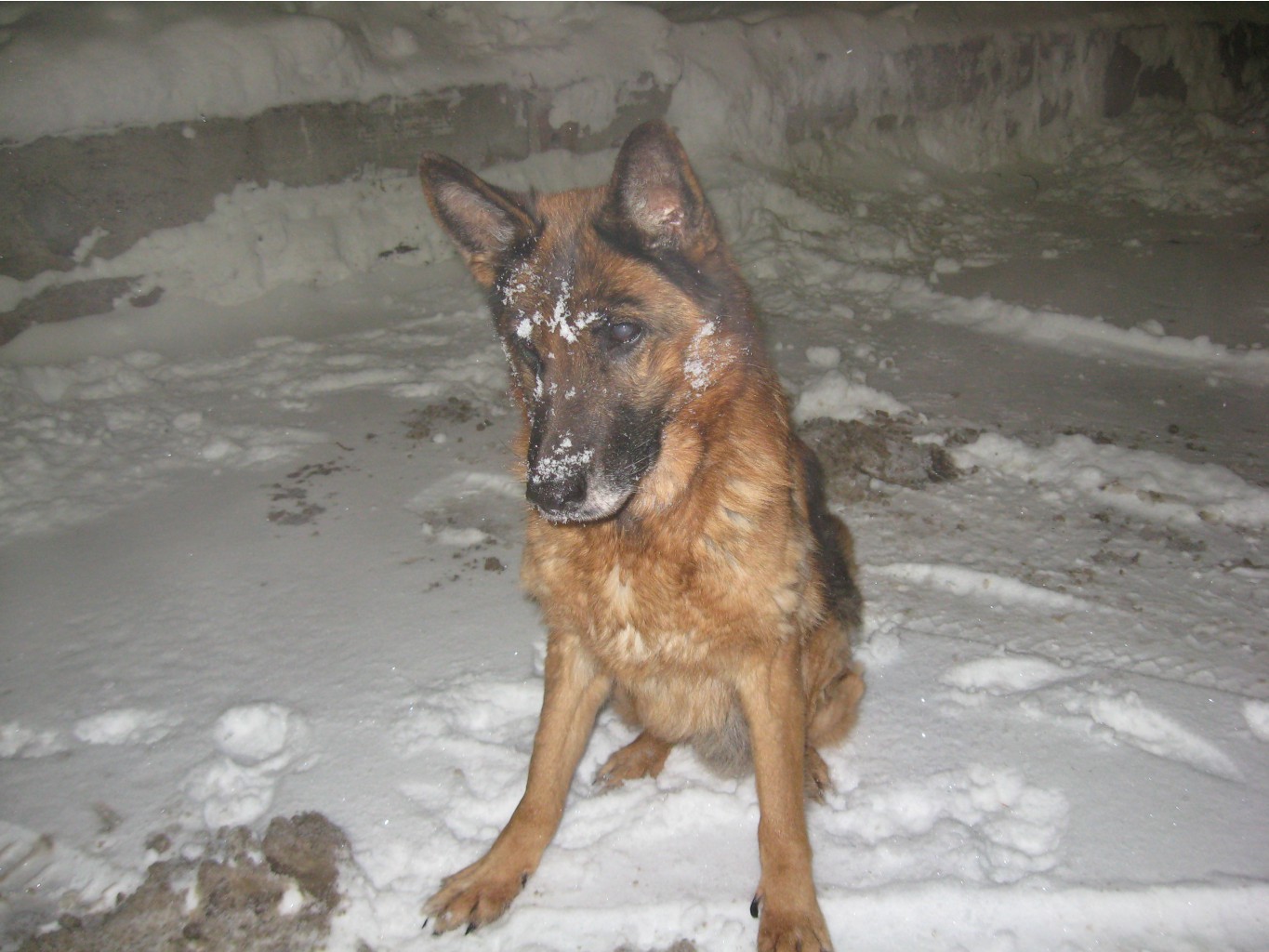 IMG 0026.JPG