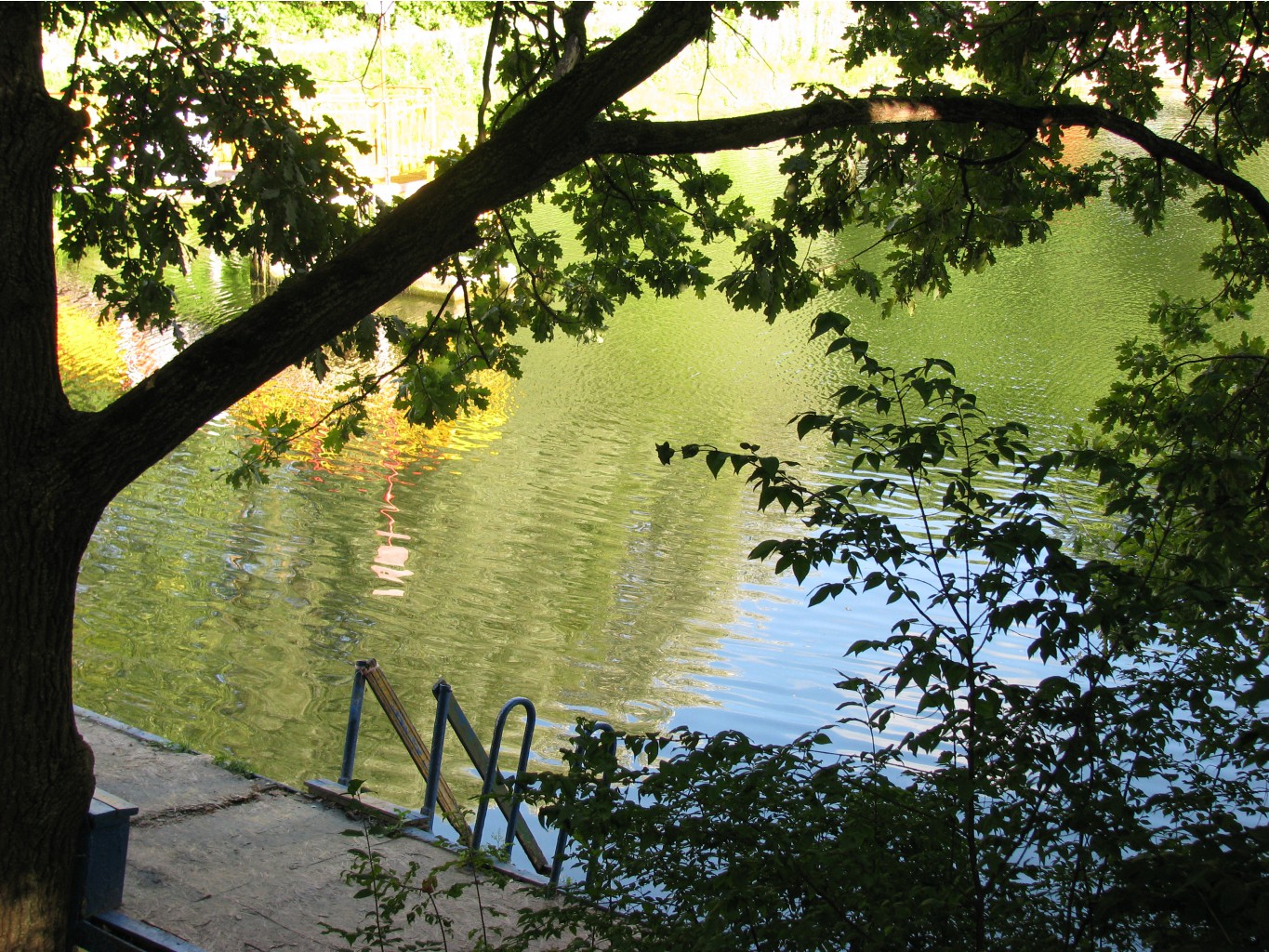 IMG 1644.JPG
