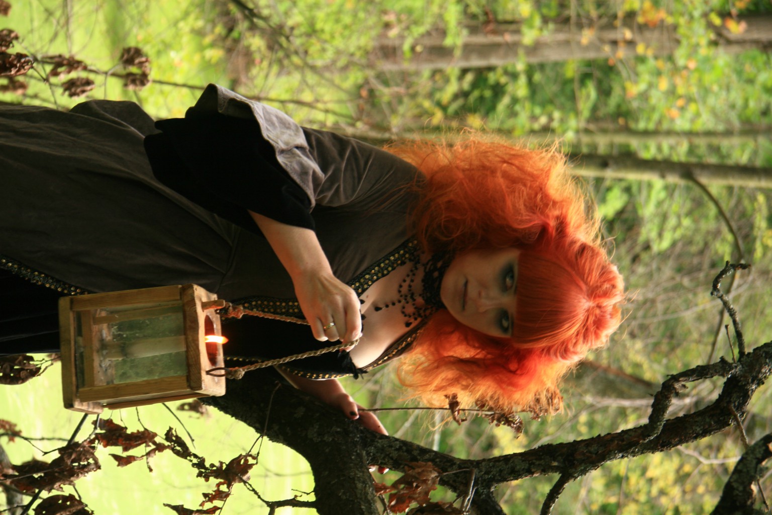IMG 8005.JPG