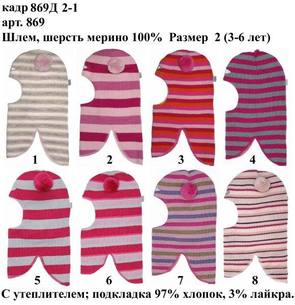 869Д2-1.jpg