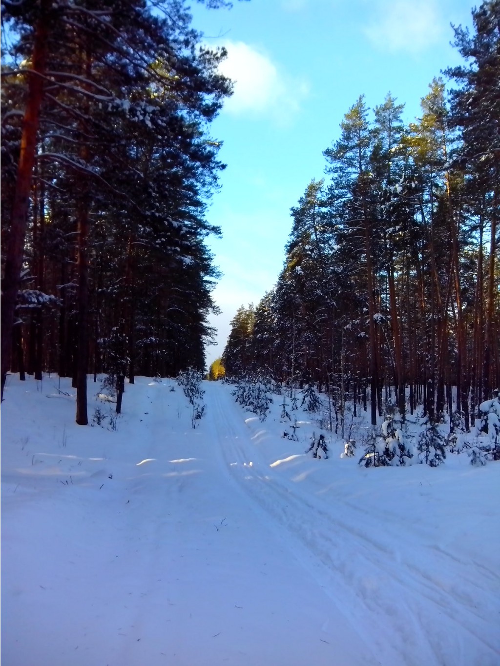 IMG 20161210 114304.jpg