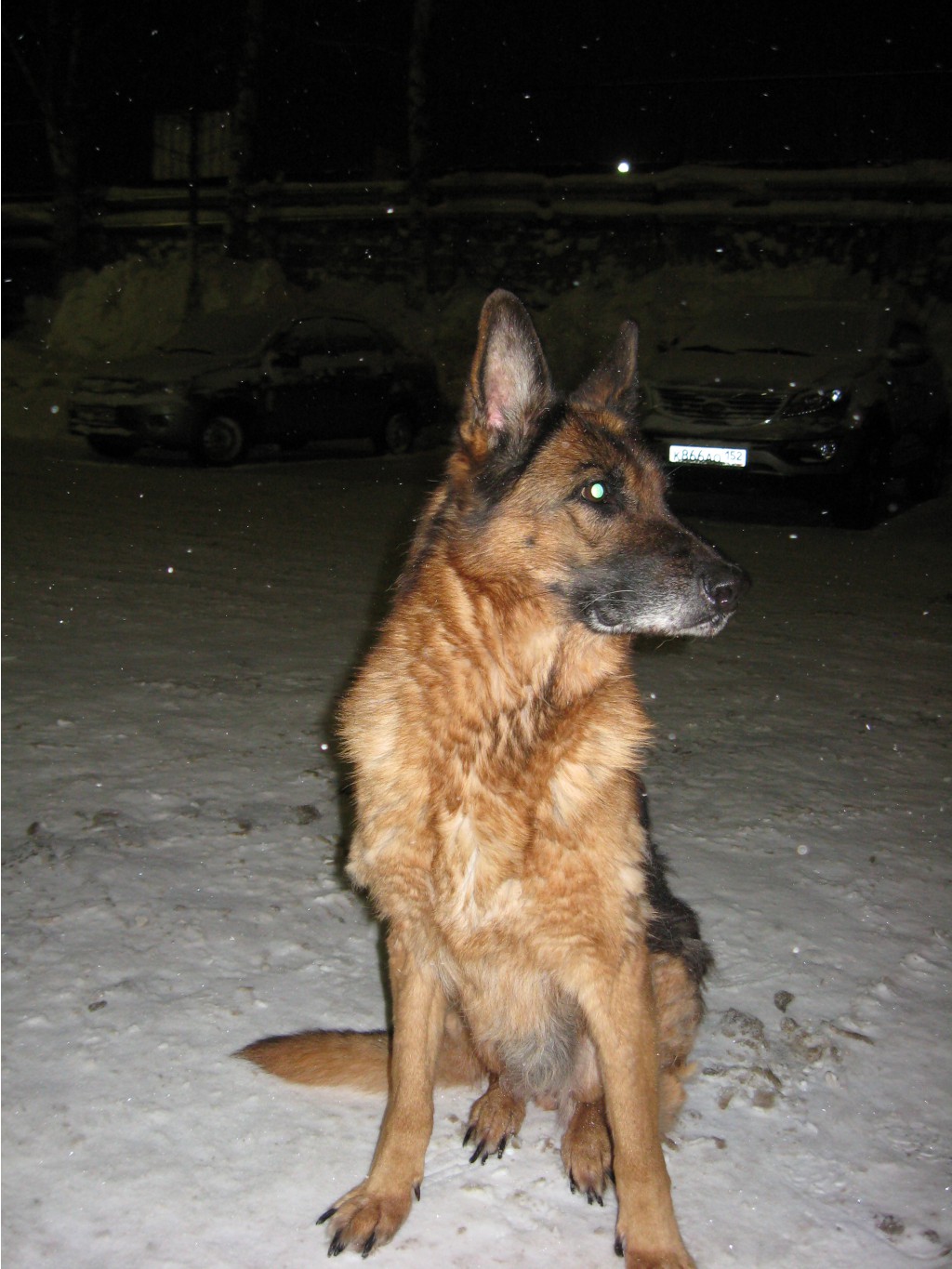 IMG 0003.JPG