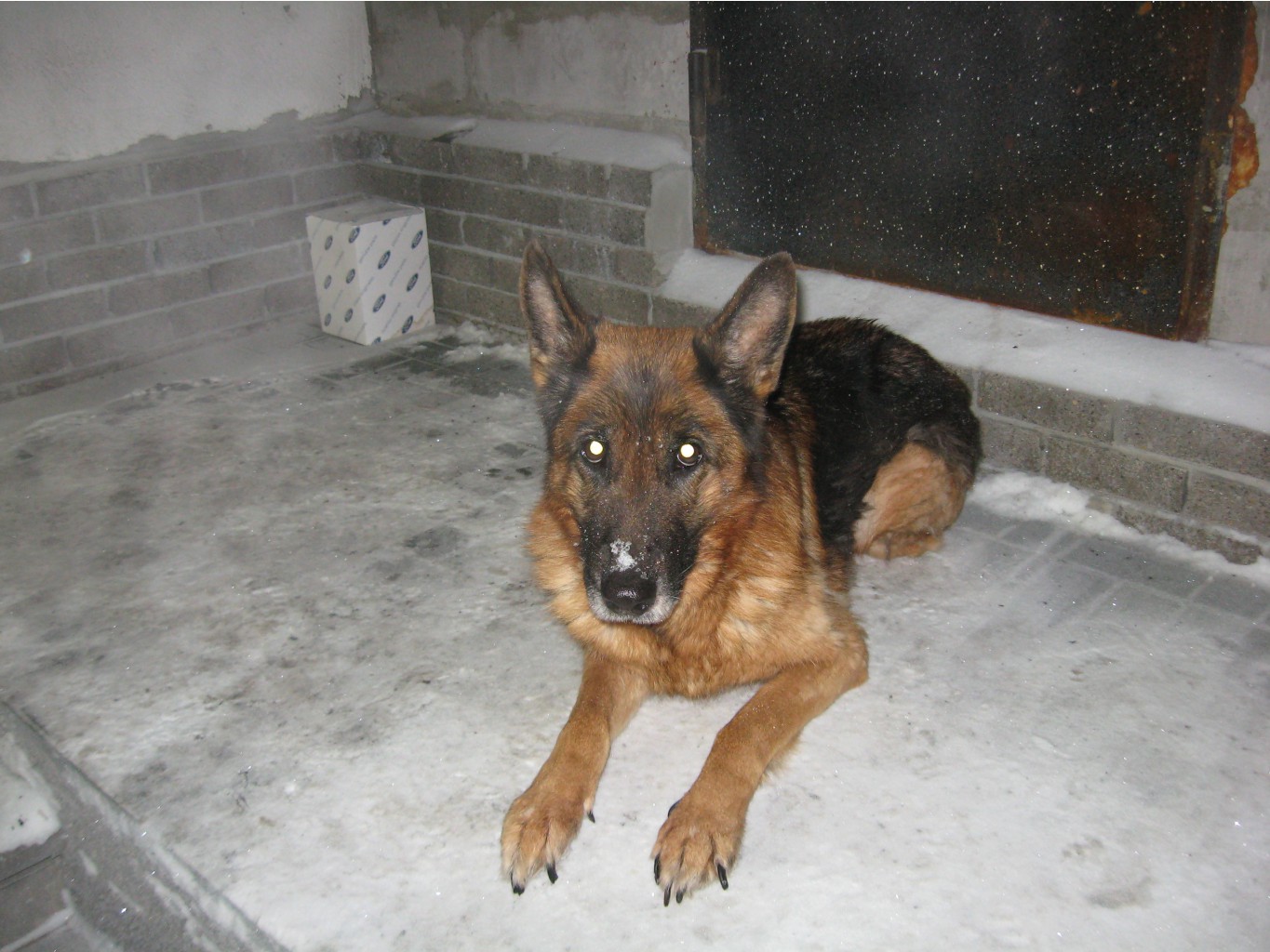 IMG 0022.JPG