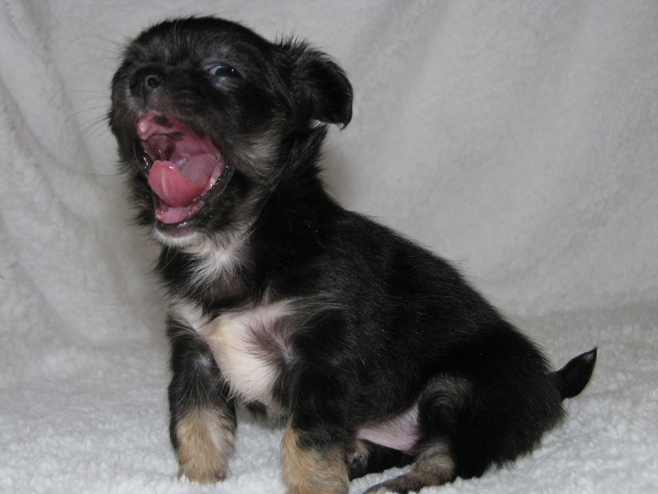 15326600 1223097671089987 8032284560778655528 n.jpg