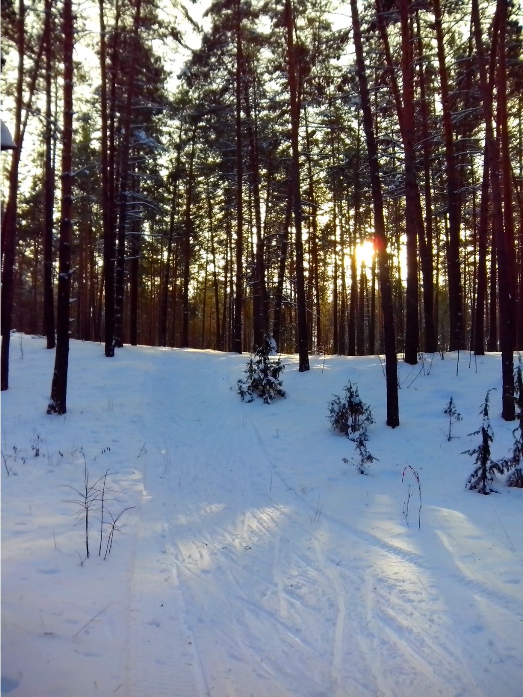 IMG 20161210 113202.jpg