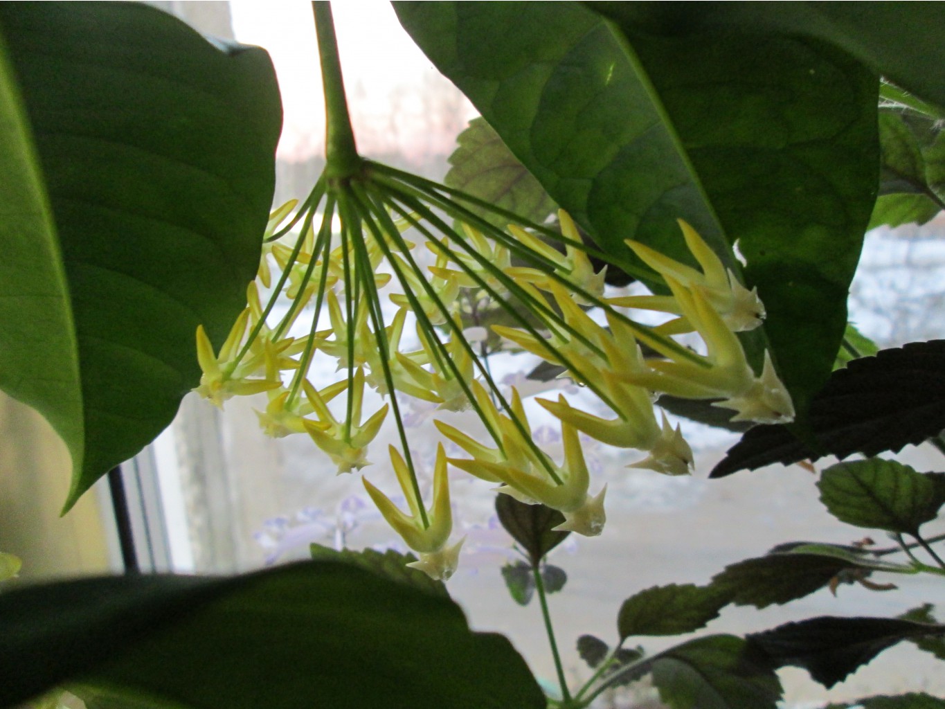 IMG 4724.JPG