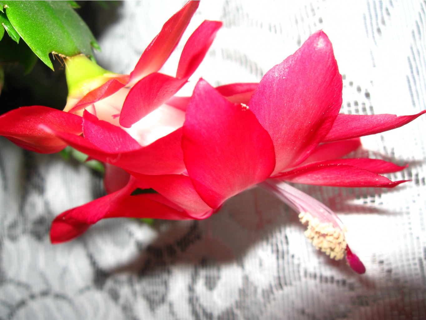IMG 5070.JPG