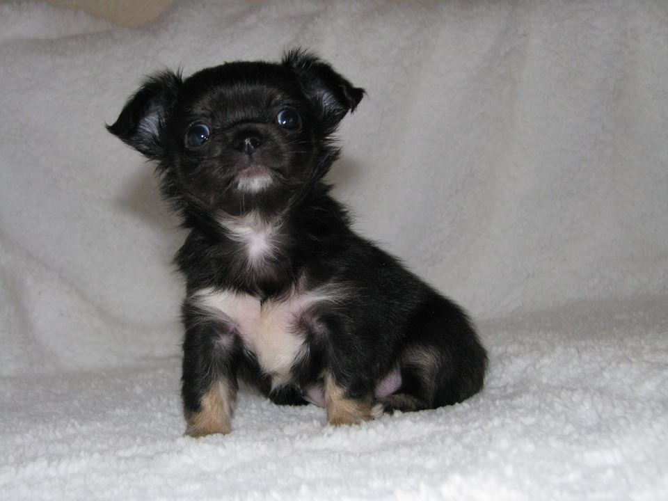 15317727 1223097751089979 792638932050393716 n.jpg