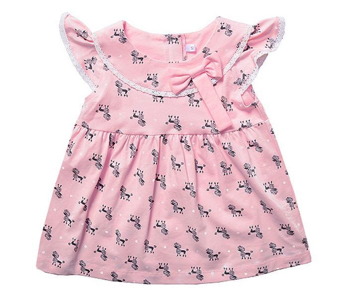 KR5279k82 losos.jpg